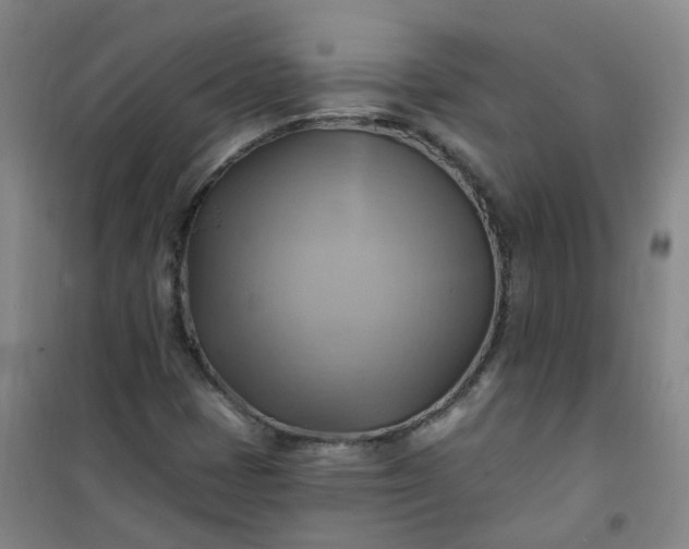 X0000101161401200807111018