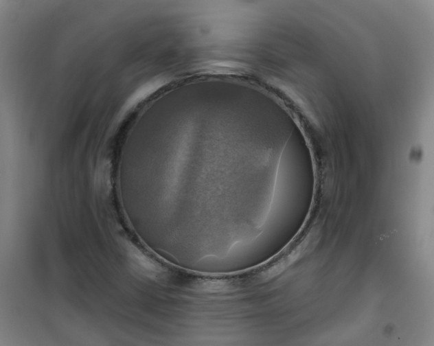 X0000101161402200807111018