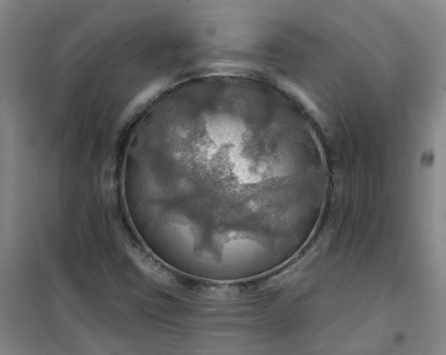 X0000101161403200807111018