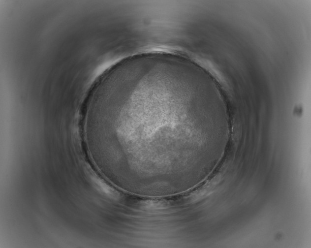 X0000101161404200807111018