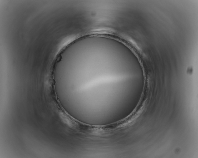 X0000101161405200807111018