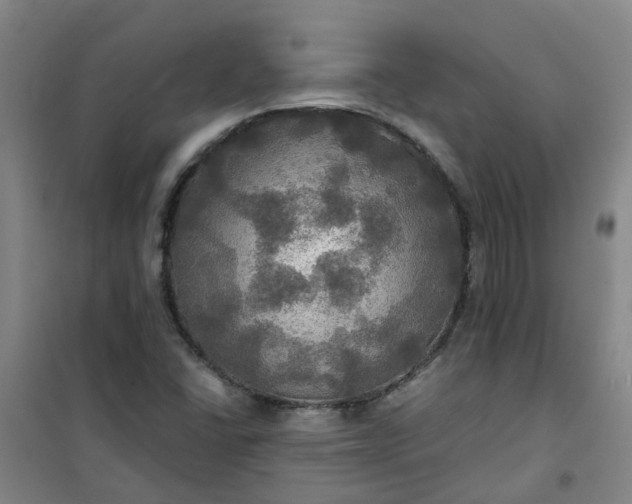 X0000101161406200807111018