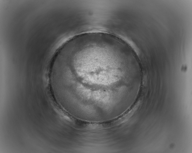 X0000101161407200807111018