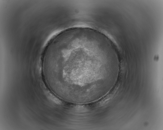 X0000101161408200807111018