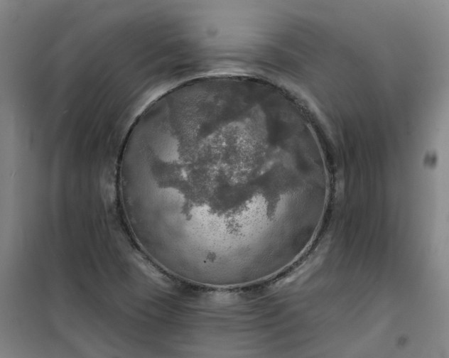 X0000101161409200807111018