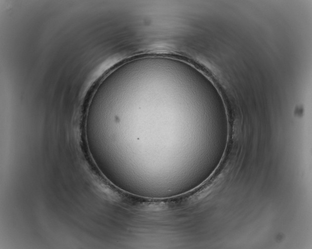 X0000101161410200807111018