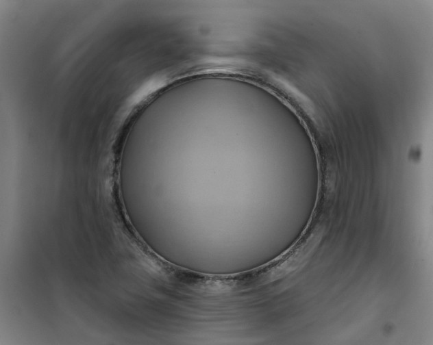 X0000101161411200807111018