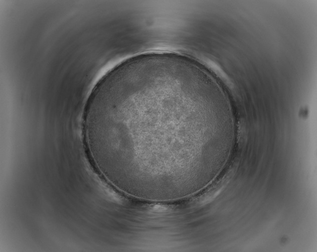 X0000101161412200807111018