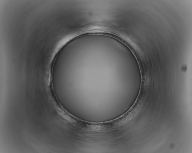 X0000101161413200807111018