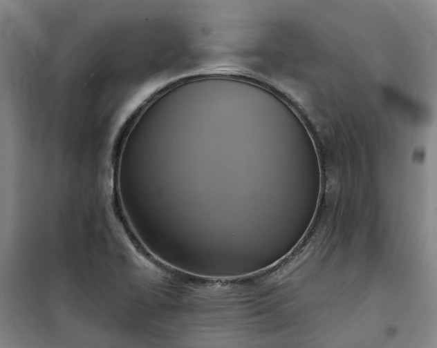 X0000101161414200807111018