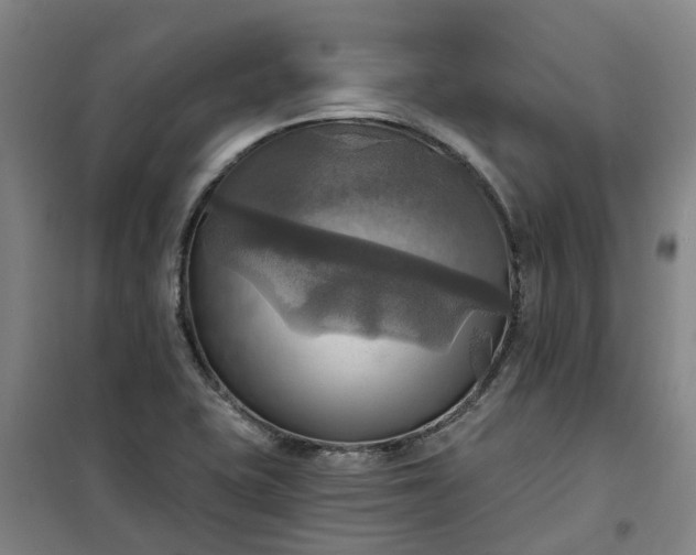 X0000101161415200807111018