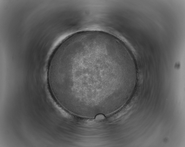 X0000101161416200807111018