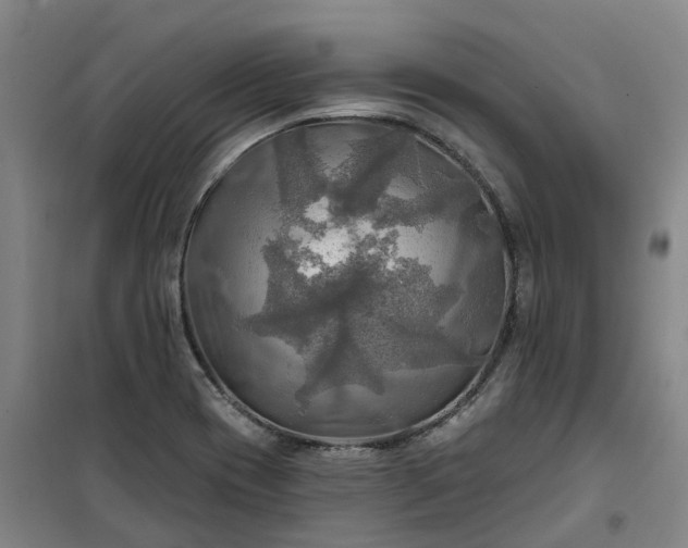 X0000101161417200807111018