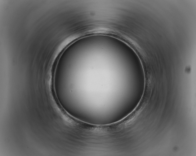 X0000101161418200807111018