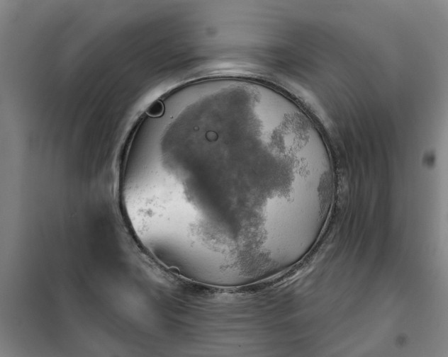 X0000101161419200807111018