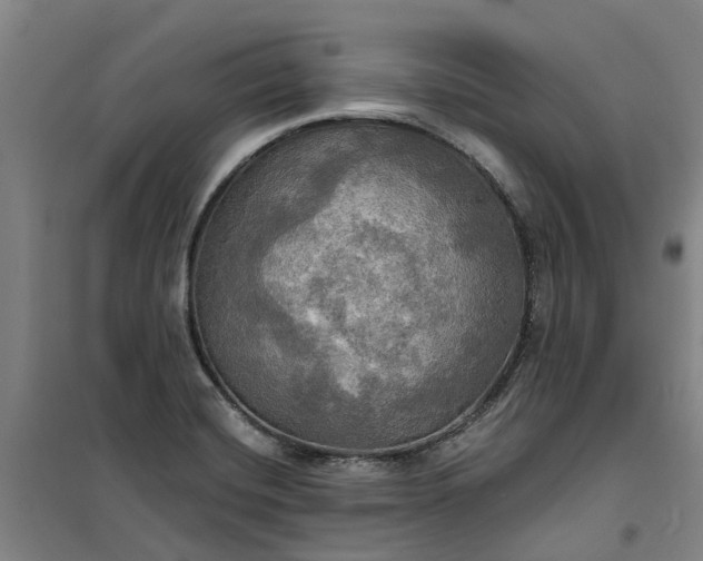 X0000101161420200807111018