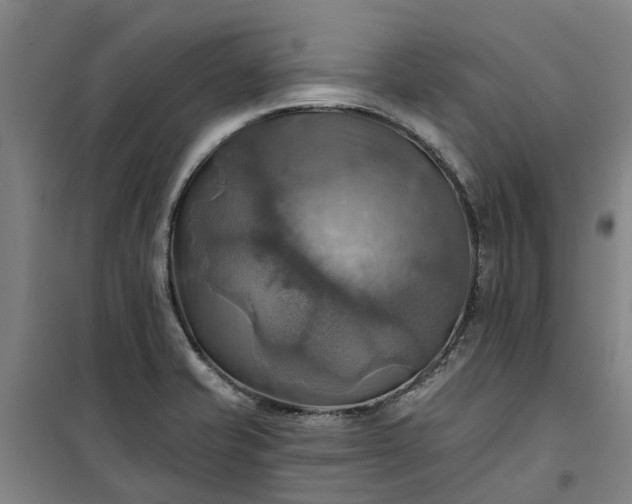 X0000101161421200807111018