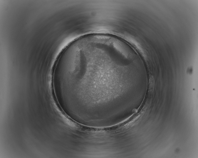 X0000101161424200807111018