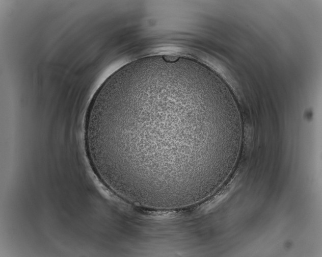 X0000101161426200807111018