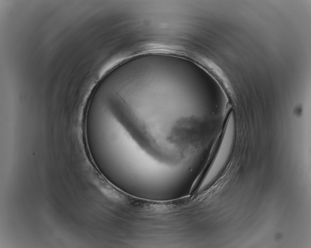 X0000101161427200807111018