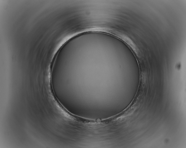 X0000101161428200807111018