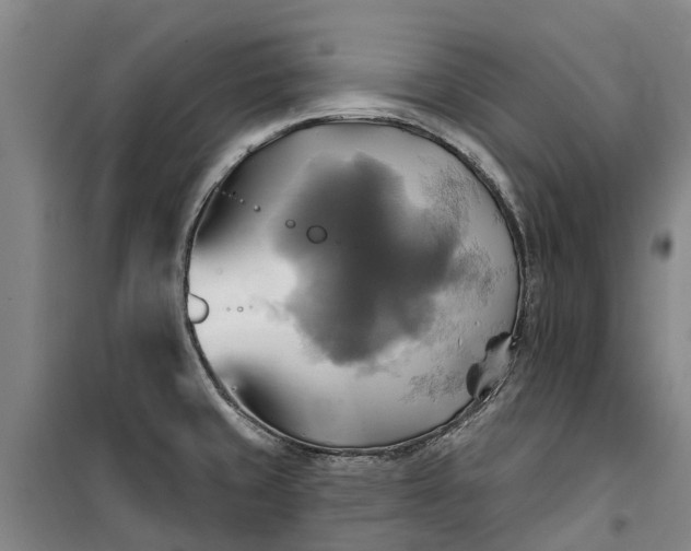 X0000101161429200807111018