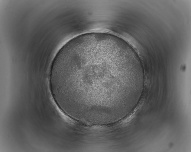 X0000101161430200807111018