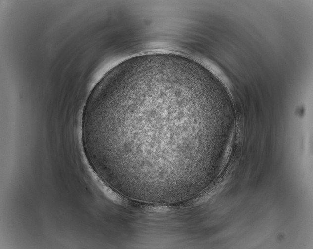 X0000101161431200807111018