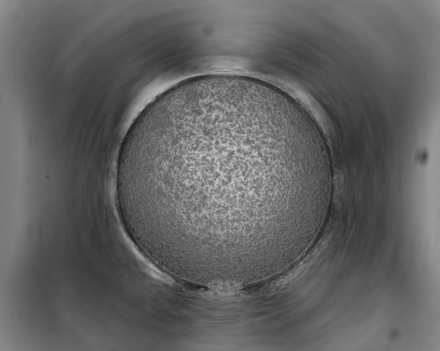 X0000101161432200807111018