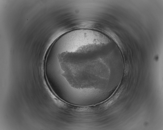 X0000101161434200807111018