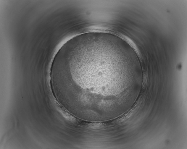 X0000101161435200807111018