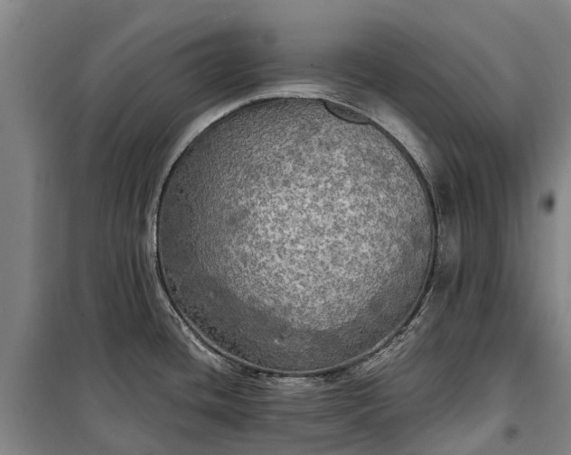 X0000101161436200807111018