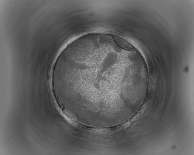 X0000101161437200807111018