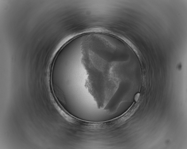 X0000101161438200807111018