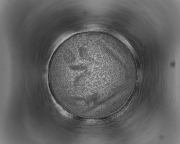 X0000101161439200807111018