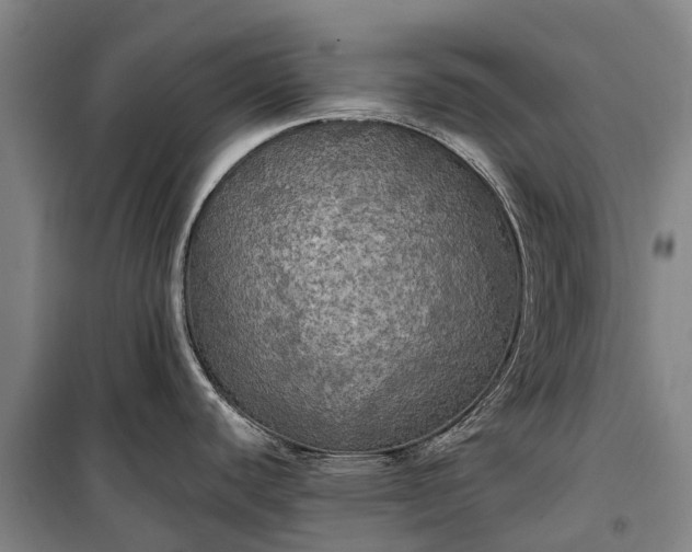 X0000101161440200807111018