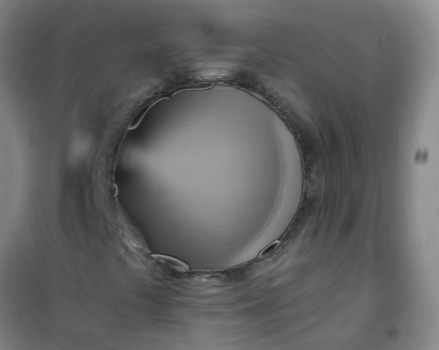 X0000101161441200807111017