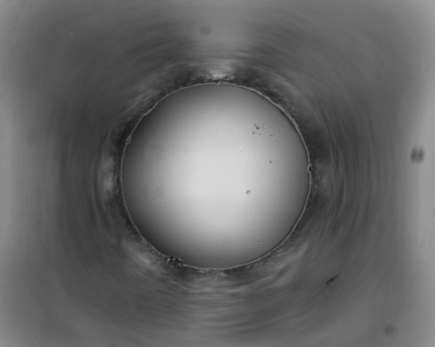 X0000101161442200807111017