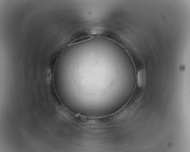 X0000101161443200807111017