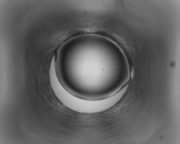 X0000101161444200807111017