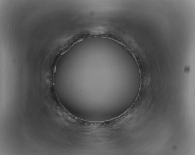 X0000101161445200807111017