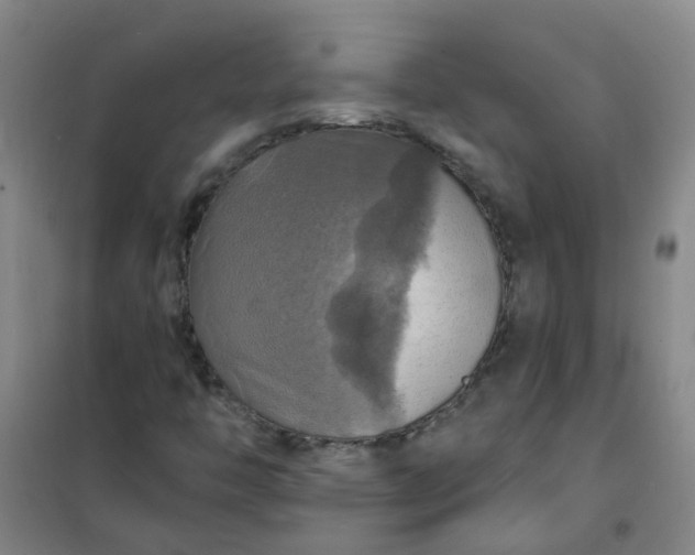 X0000101161446200807111017