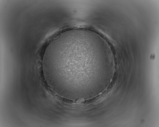 X0000101161447200807111017