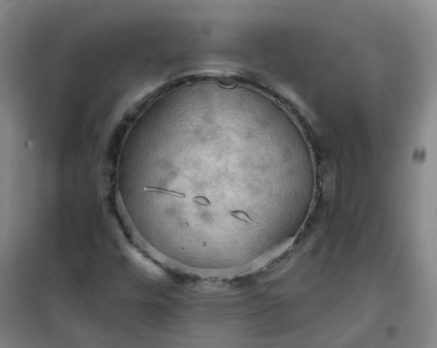 X0000101161448200807111017