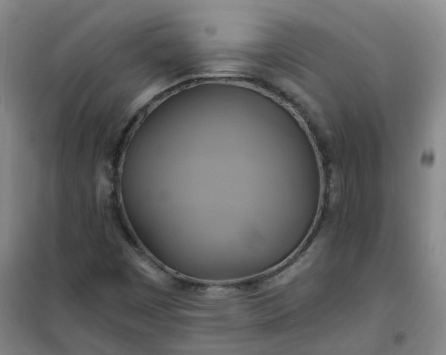 X0000101161449200807111017