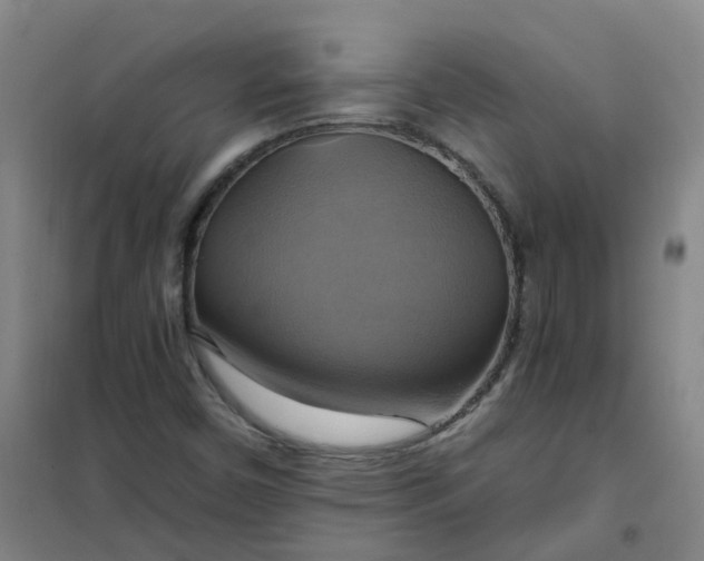 X0000101161450200807111017