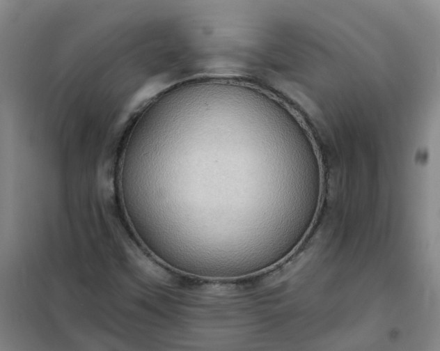 X0000101161451200807111017