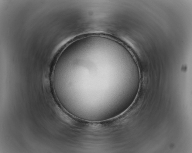 X0000101161452200807111017