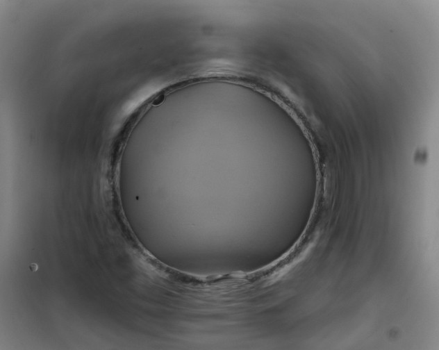 X0000101161453200807111017