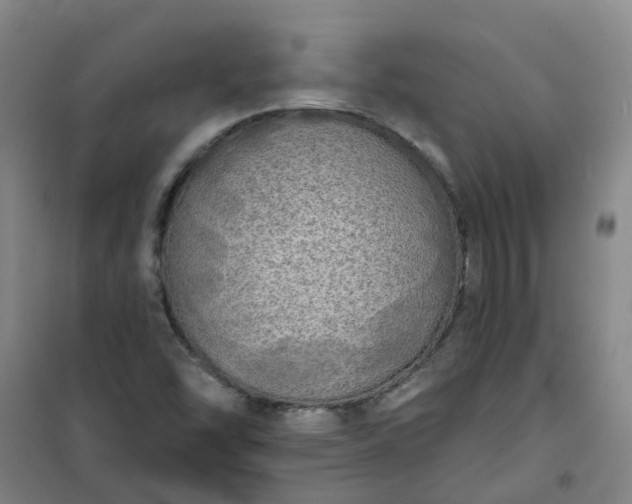 X0000101161454200807111017